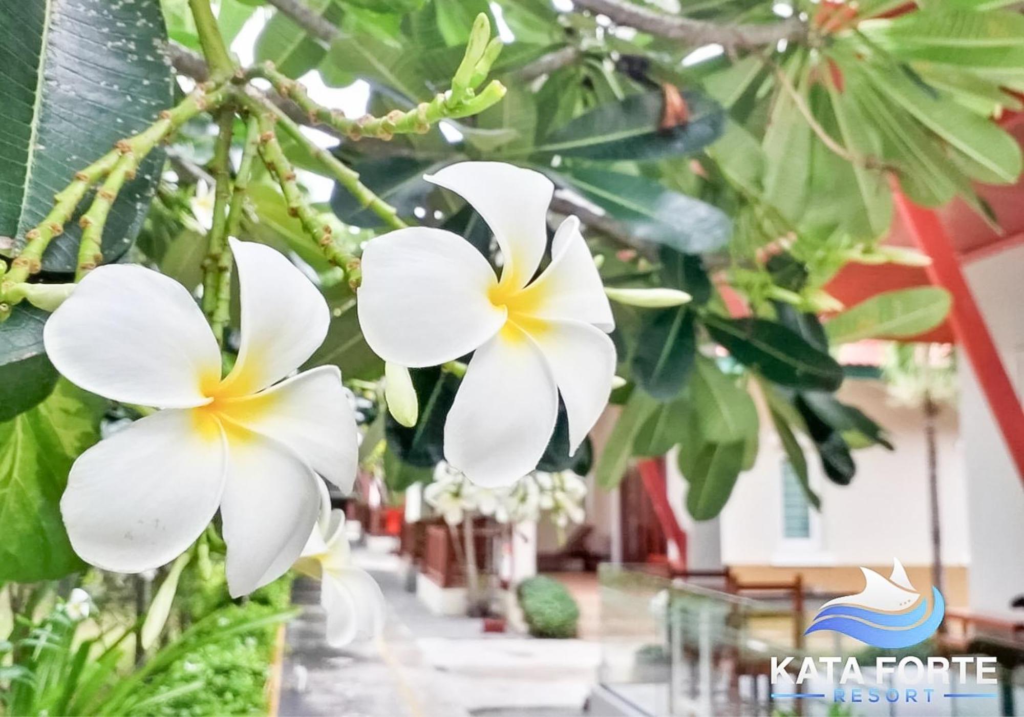 Kata Forte Resort Kültér fotó